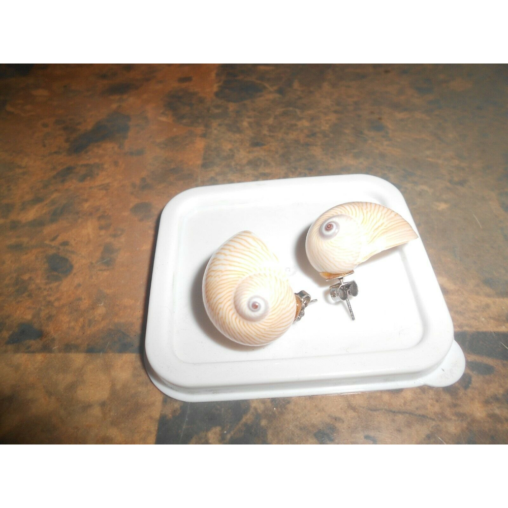Snail shell earrings